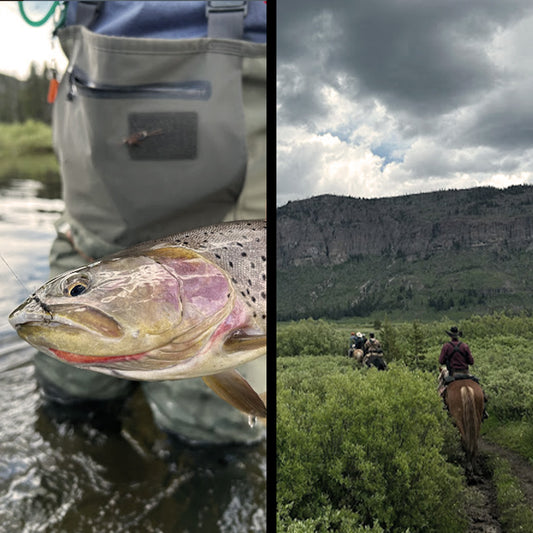 THE LAST CAST